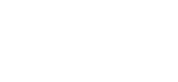 Koinbridge